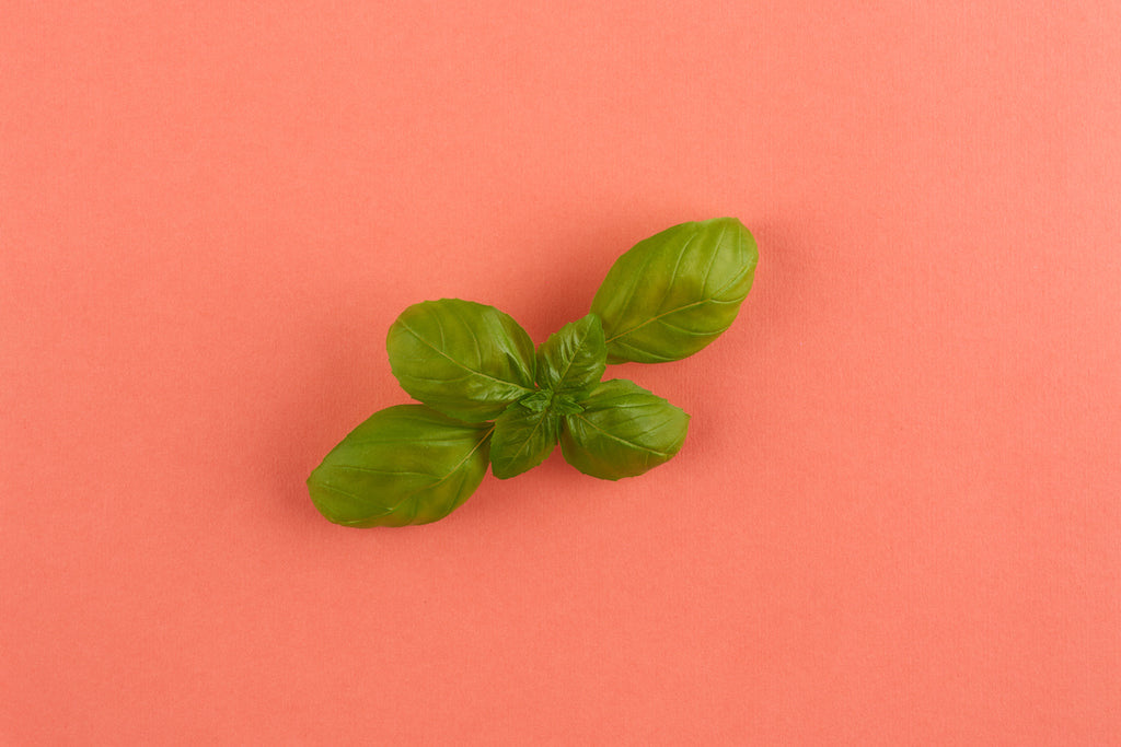basil