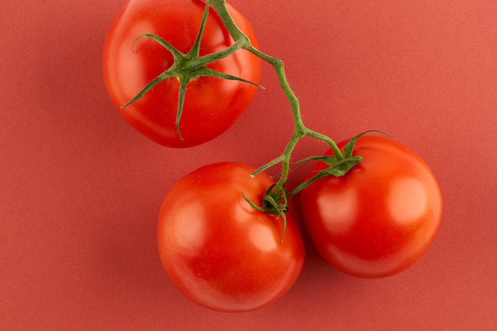 tomato fresh