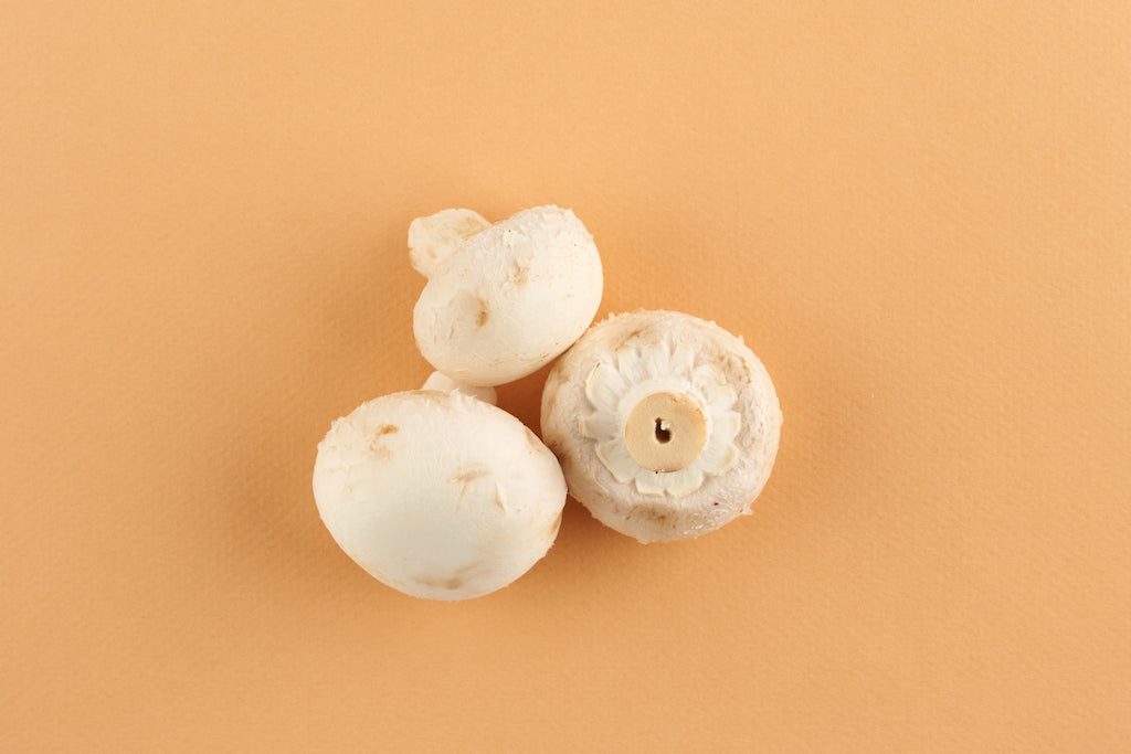 button mushroom